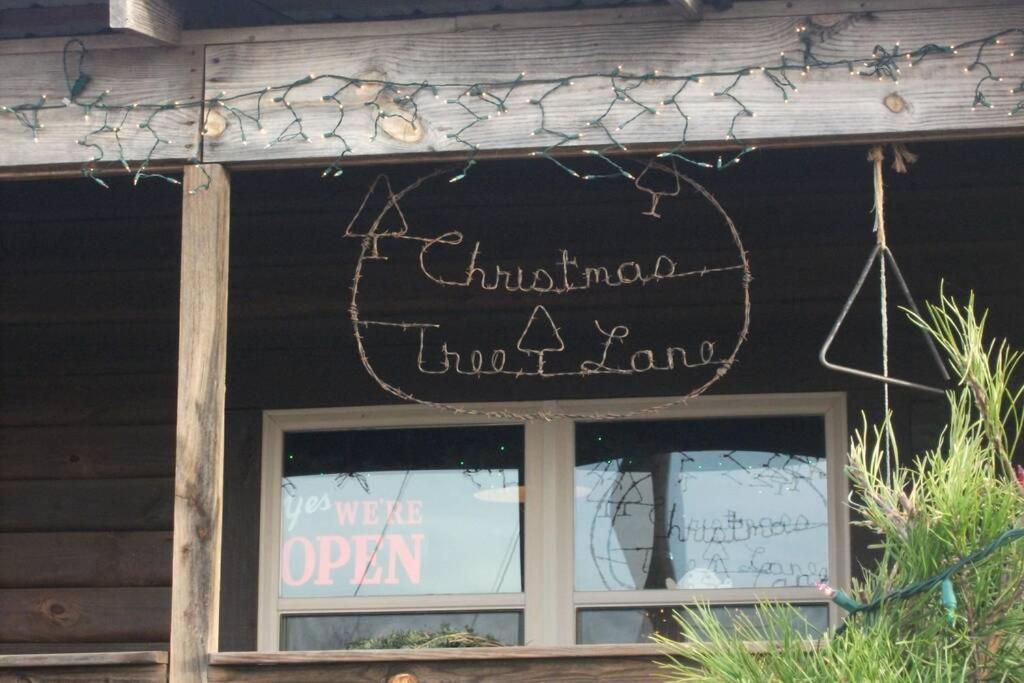 Rural Life On A Real Christmas Tree Farm! Hallmark Experience! Ozark Exterior foto