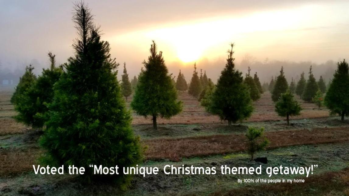 Rural Life On A Real Christmas Tree Farm! Hallmark Experience! Ozark Exterior foto