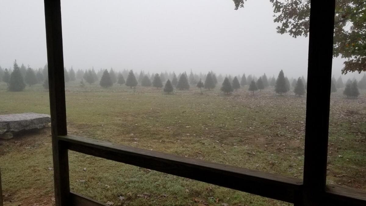 Rural Life On A Real Christmas Tree Farm! Hallmark Experience! Ozark Exterior foto